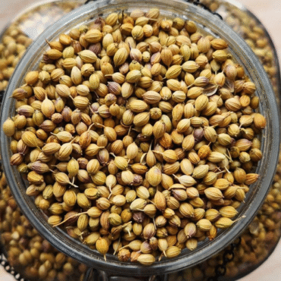 Coriander Seeds